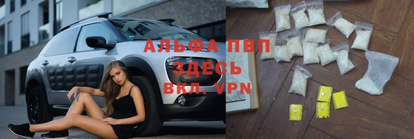 мдпв Пестово