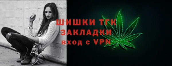 мдпв Пестово