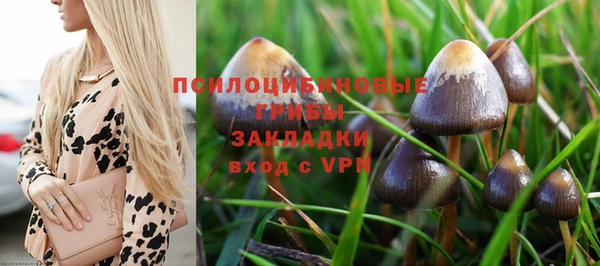 мдпв Пестово
