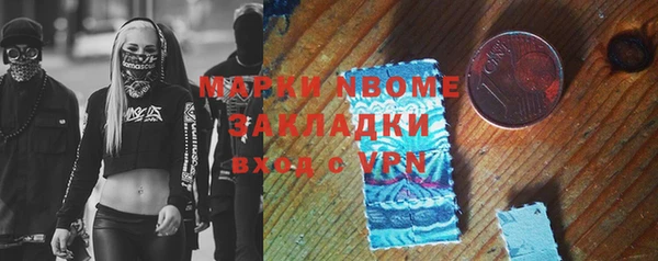мдпв Пестово