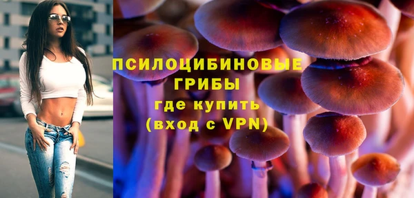 мдпв Пестово