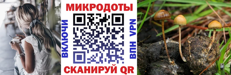 Псилоцибиновые грибы мицелий  Починок 